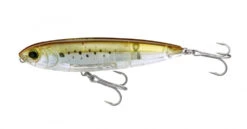 Yo-Zuri 3D Inshore 5" Topknock Pencil -Outlet Angling Store 0cc8caa6 7e85 45a9 a59d 105d8408ce0a