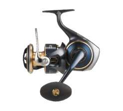 Daiwa Saltiga 12 Daiwa Saltiga -Outlet Angling Store 10000 h