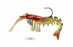 Egret 3.5" Vudu Rattling Shrimp 13 Egret 3.5" Vudu Rattling Shrimp -Outlet Angling Store 1539886863