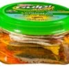 Berkley Gulp Alive 3" Shrimp Tub 1 Berkley Gulp Alive 3" Shrimp Tub -Outlet Angling Store 1576639 1108311576639 is