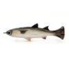 Savage Gear Pulse Tail Mullet 5" LB 1 Savage Gear Pulse Tail Mullet 5" LB -Outlet Angling Store 5603 0289 918844c7 5680 407f b651 807ad64d0751