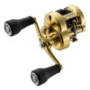 Shimano Calcutta Conquest MD -Outlet Angling Store 5969b16e65ce1d5c029278ced5952a7b9a7bff83