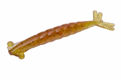 Thumpershrimp 3" 33 Thumpershrimp 3" -Outlet Angling Store 5A4D258B 7593 4D33 AC29 FE6131306BE8