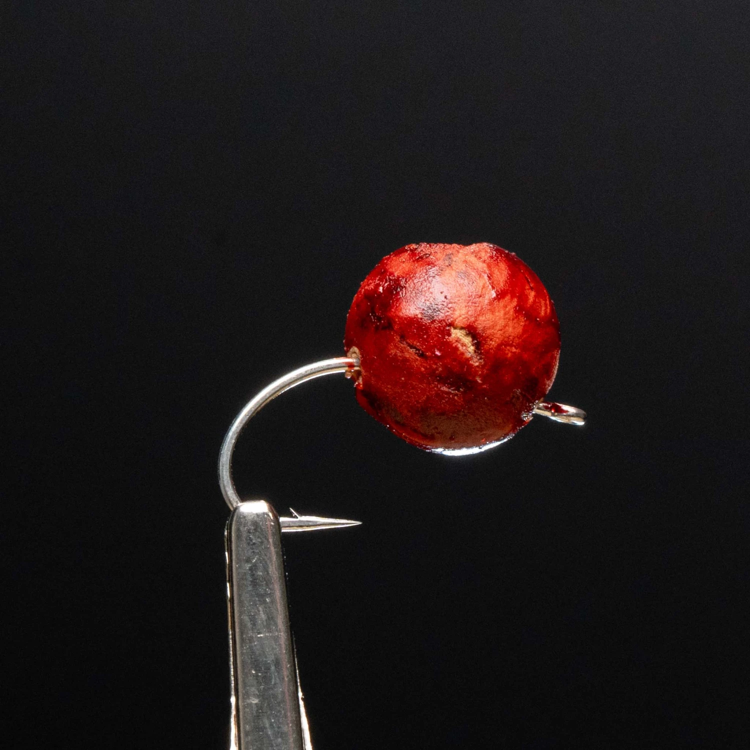 Zippy Flies Ficus Berry 3 Zippy Flies Ficus Berry