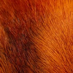 The Fly Hair Co. - Deer Belly Hair -Outlet Angling Store DSC08491