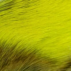 The Fly Hair Co. - Deer Belly Hair -Outlet Angling Store DSC08493