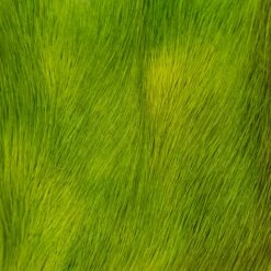 The Fly Hair Co. - Deer Belly Hair -Outlet Angling Store DSC08495