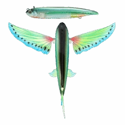 Nomad Slipstream 140 Flying Fish