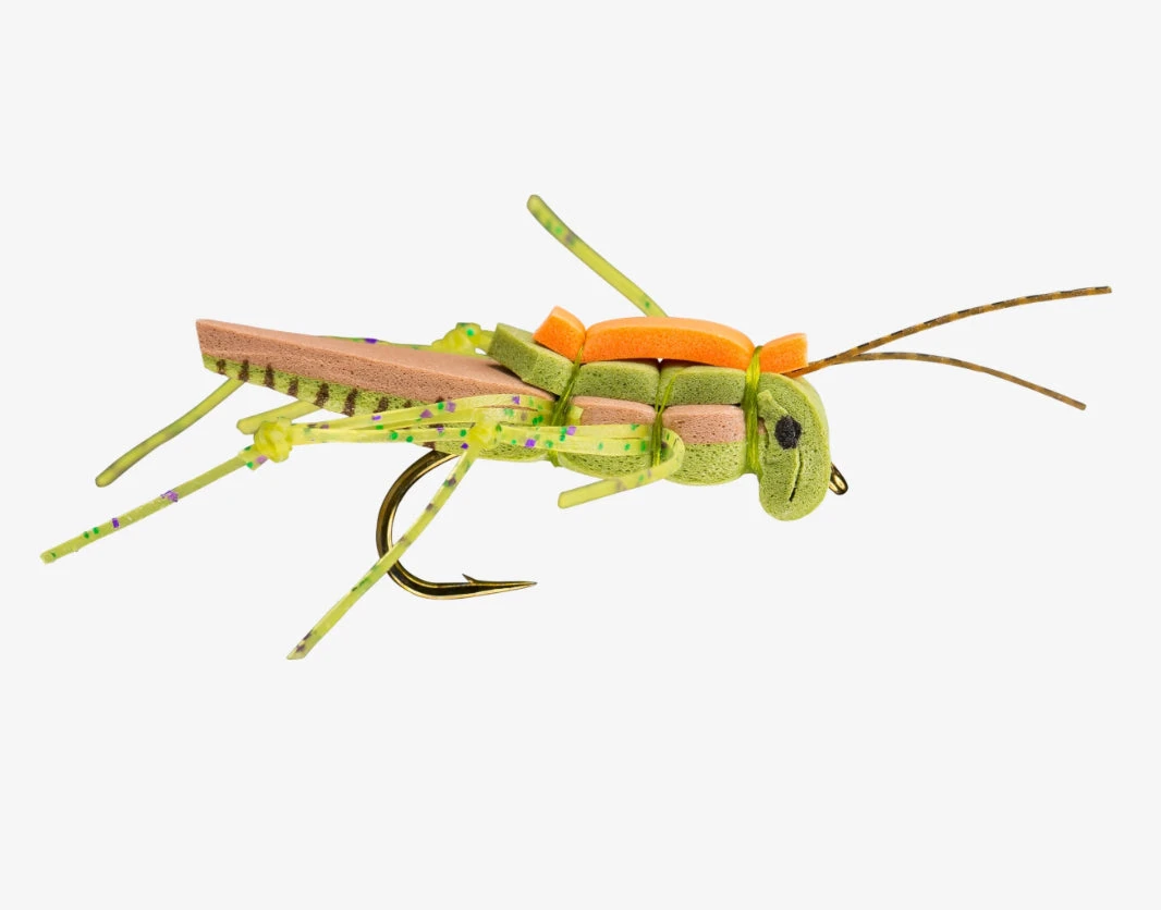 RIO Juicy Hopper 4 RIO Juicy Hopper - Image 2