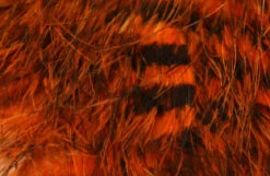 Hareline Jailhouse/Barred Marabou -Outlet Angling Store FullSizeRender 8440519e 604f 4f7d a4c5 8b055c5d18e8