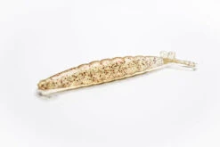 Thumpershrimp 5" -Outlet Angling Store IMG 0712 c3f59b55 3f99 4304 82dc 9396645397eb 1