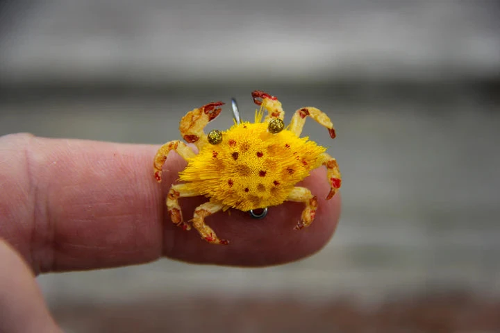 Flats Craft Ketta Crab 6 Flats Craft Ketta Crab - Image 4