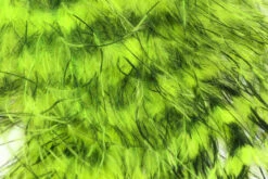 Hareline Jailhouse/Barred Marabou -Outlet Angling Store JHM127