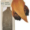 Metz Neck Hackle -Outlet Angling Store Metz hackle more 57809.1574276177