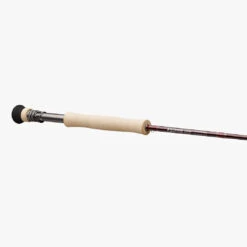 Sage Igniter Fly Rod 10 Sage Igniter Fly Rod -Outlet Angling Store Product Sage Rods IGNITER Handle Angle Fighting Butt 3336bdf0 4b80 40d6 aa53 395e36e069b4 jpg