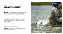 Sage R8 Salt Fly Rod 21 Sage R8 Salt Fly Rod -Outlet Angling Store ScreenShot2023 01 12at11.34.35AM