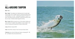 Sage R8 Salt Fly Rod 23 Sage R8 Salt Fly Rod -Outlet Angling Store ScreenShot2023 01 12at11.35.34AM