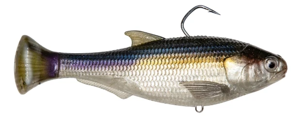 Z-Man Z Man Shadtron LT Slow Sink 10 Z-Man Z Man Shadtron LT Slow Sink - Image 8