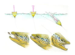 Rainy's Flies Whitlock's TelStrike Indicators - Hi-Viz Combo -Outlet Angling Store WhitlockTelStrike3 1080x 900x c73e7cfa 54eb 45ee b443 d4c4cdac4b1d