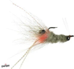 Umpqua Coyote Shrimp 5 Umpqua Coyote Shrimp -Outlet Angling Store coyote shrimp spawn 27327.1575310338