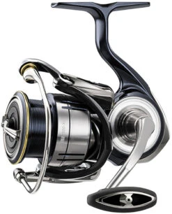 Daiwa 24 Certate LT