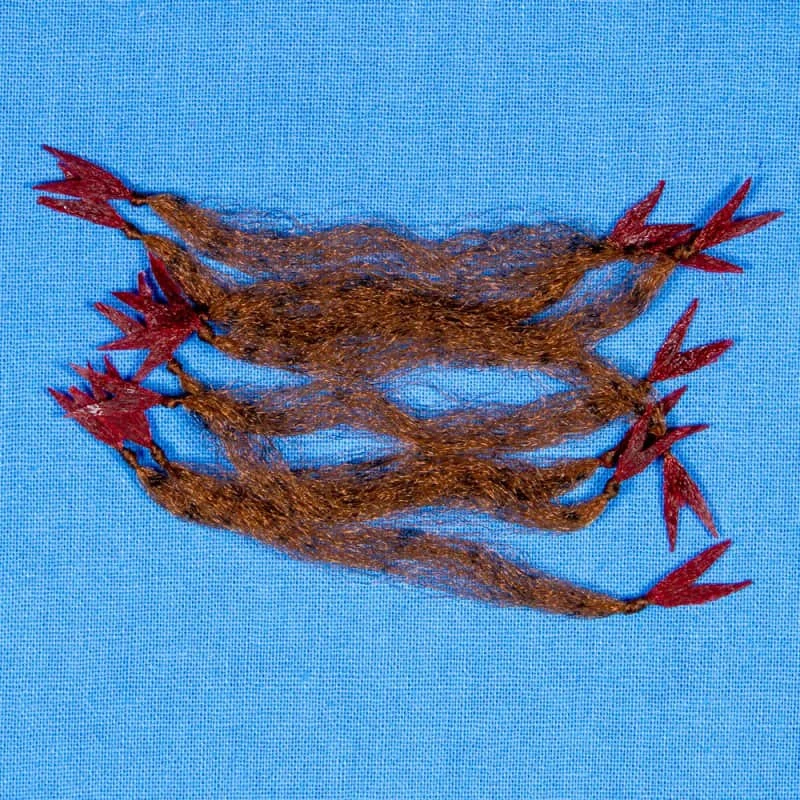 EP Crustaceous Claw 5 EP Crustaceous Claw - Image 3