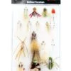 Umpqua Belize/Yucatan Deluxe Selection -Outlet Angling Store fly selections 2