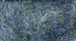 Hareline Ice Dub 25 Hareline Ice Dub -Outlet Angling Store ice235