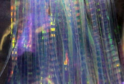 Hareline Lateral Scale -Outlet Angling Store lsc1703