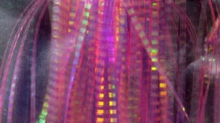 Hareline Lateral Scale -Outlet Angling Store lsc1765