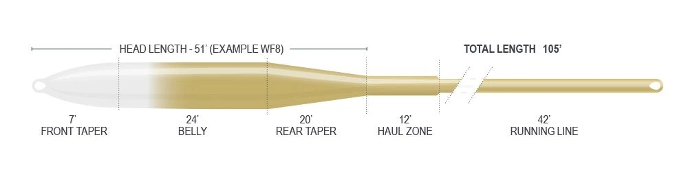 Airflo SUPERFLO RIDGE 2.0 Tactical Taper 12' CLEAR TIP 5 Airflo SUPERFLO RIDGE 2.0 Tactical Taper 12' CLEAR TIP - Image 3