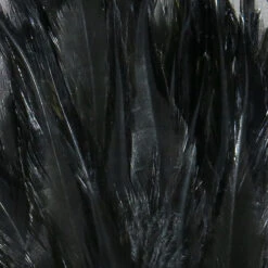 Hareline Strung Chinese Saddle Hackle 5"-7" 24 Hareline Strung Chinese Saddle Hackle 5"-7" -Outlet Angling Store scsd11