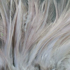 Hareline Strung Chinese Saddle Hackle 5"-7" 17 Hareline Strung Chinese Saddle Hackle 5"-7" -Outlet Angling Store scsd165