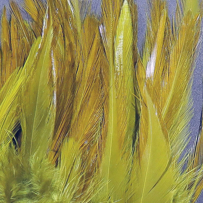 Hareline Strung Chinese Saddle Hackle 5"-7" 7 Hareline Strung Chinese Saddle Hackle 5"-7" - Image 5