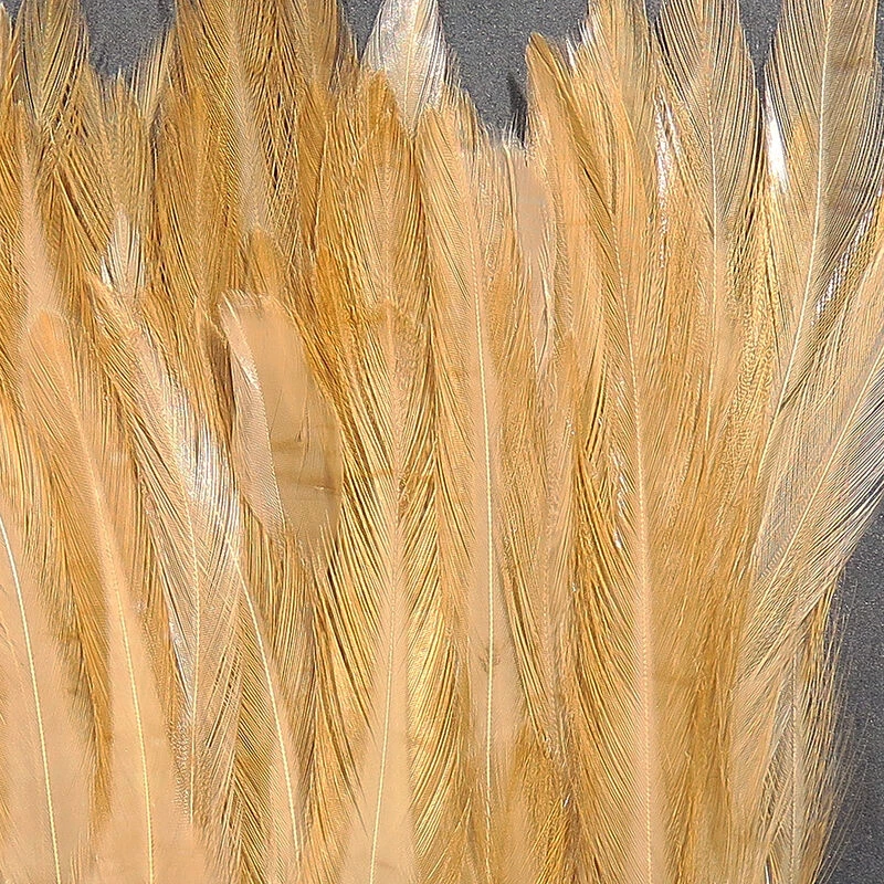 Hareline Strung Chinese Saddle Hackle 5"-7" 9 Hareline Strung Chinese Saddle Hackle 5"-7" - Image 7